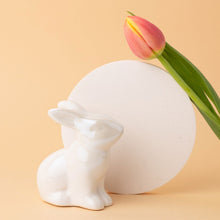 Load image into Gallery viewer, Ceramic Bunnies
