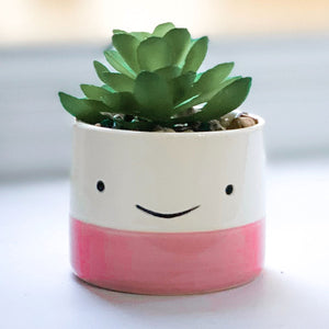 Cute Face Planter