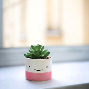 Cute Face Planter